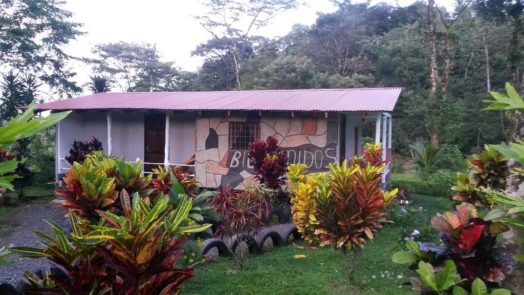 Nacientes Lodge Bijagua Dış mekan fotoğraf