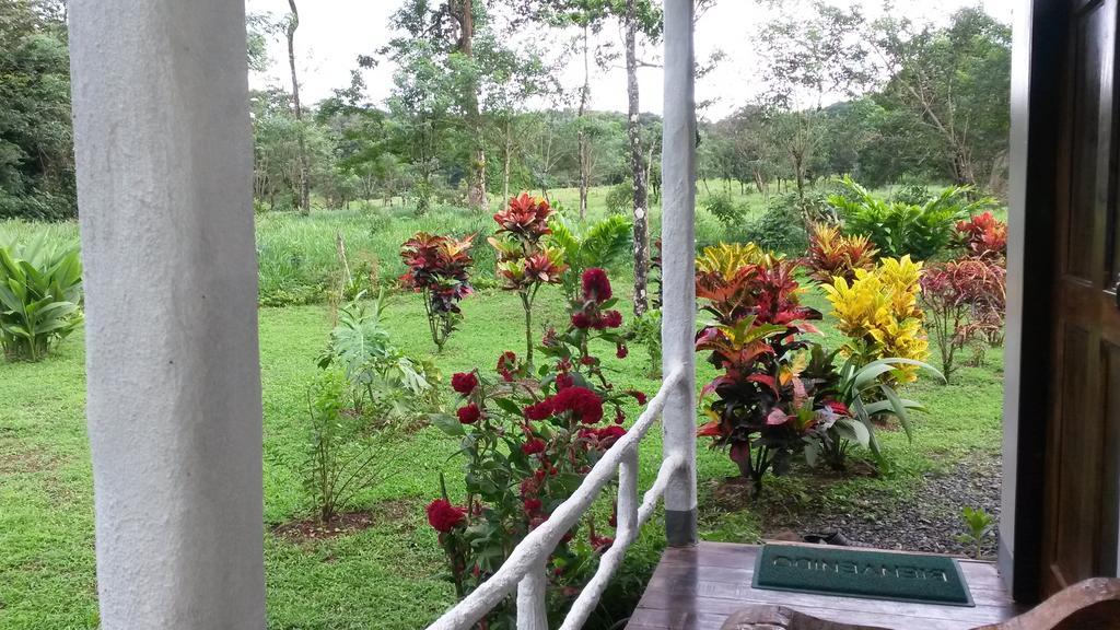 Nacientes Lodge Bijagua Dış mekan fotoğraf